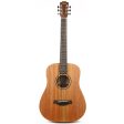 Taylor BT2e Baby Taylor Acoustic Guitar For Cheap