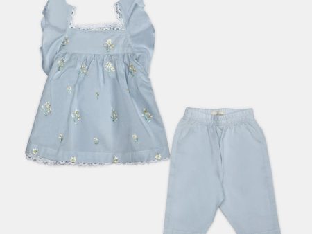 Light Blue Embroidered Infant 2PC For Sale