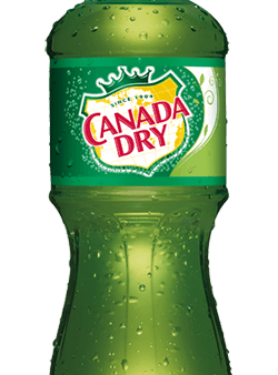 Canada Dry Ginger Ale 20oz. Bottle Hot on Sale