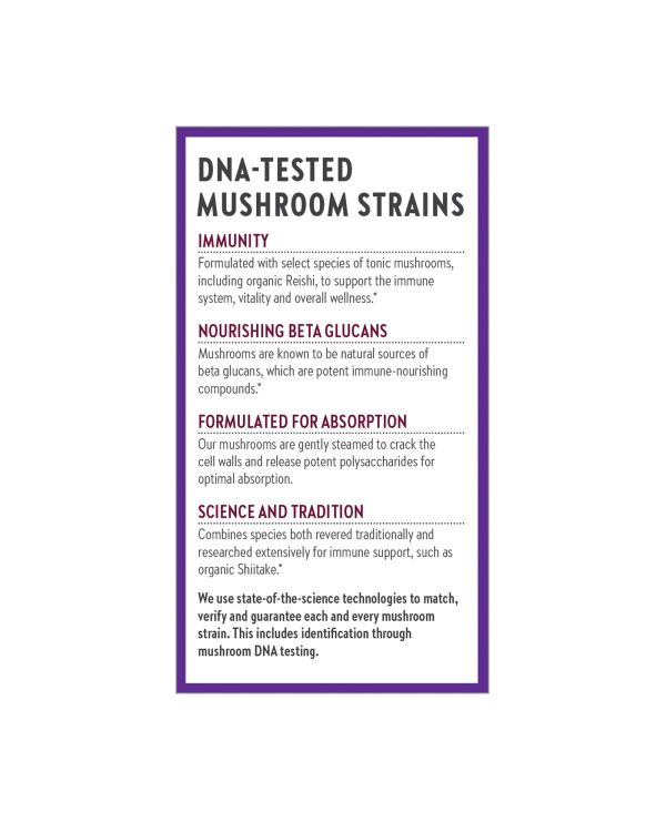 Immune Support: Reishi & Shiitake Mushroom Blend Capsules Online Sale