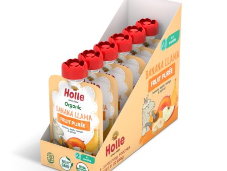 Organic Banana, Apple, Mango & Apricot Baby Food - Box of 6 For Discount